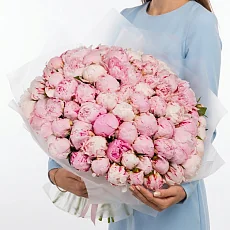 101 Пион Сара Бернар в упаковке