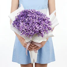 15 Фиолетовых Гипсофил