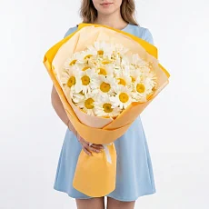 Букет из ромашек в пленке