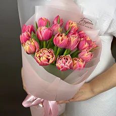 19 Тюльпанов Колумбус