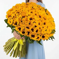 Букет солнечный 151 подсолнух