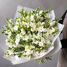 Букет из 35 белых фрезий