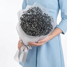 7 Черных Гипсофил