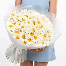 85 Крупных Ромашек