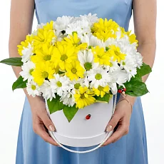 Шляпная коробка из кустовых хризантем