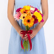 15 Гербер Микс