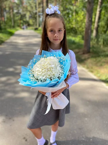 Букет мини с гортензией и гипсофилой