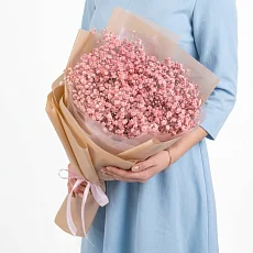 9 Розовых Гипсофил