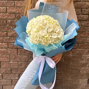 Белая гортензия в дизайнерской упаковке 