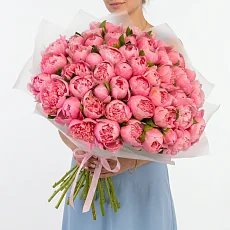 Букет из 51 пиона кораллового цвета в упаковке