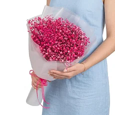 Букет из 7 Малиновых Гипсофил