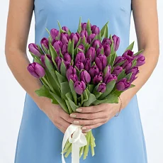 51 Тюльпан сиреневого цвета