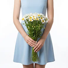 35 Крупных Ромашек