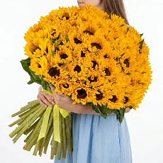 51 Подсолнух