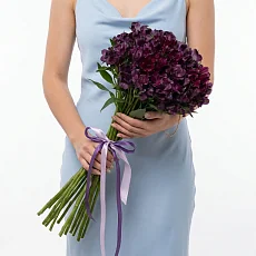 25 Лиловых Альстромерий