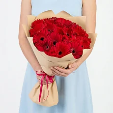 25 Красных Гербер в упаковке