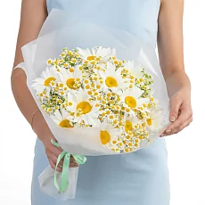 25 Ромашек Микс