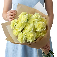 17 Желто-Зеленых Гвоздик