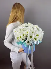 Шляпная коробка с бакарди
