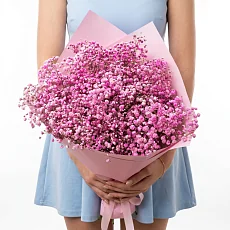 11 Розовых Гипсофил