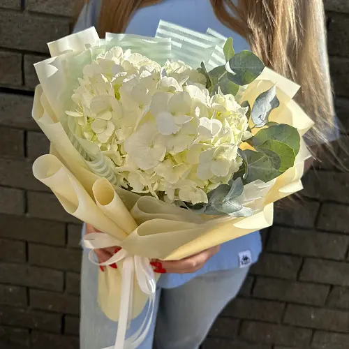 Нежная гортензия