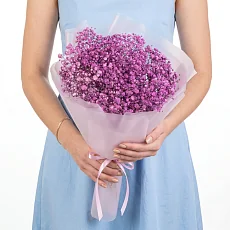 7 Фиолетовых Гипсофил