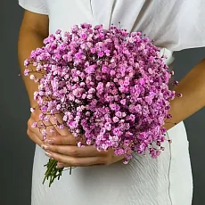 Свадебная розовая гипсофила