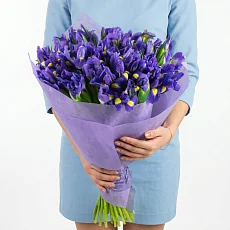 31 Ирис в фетре