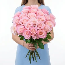 Нежные розы Эквадор 25 шт