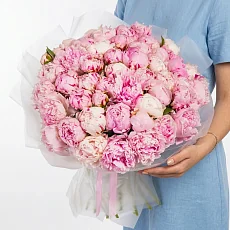 51 Пион Сара Бернар