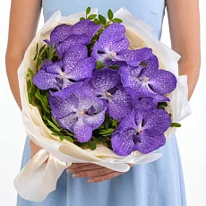 7 Орхидей Ванда