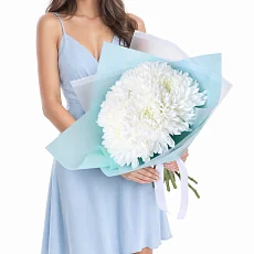 5 Белоснежных Хризантем