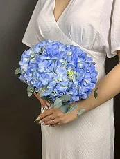 Голубая гортензия для невесты