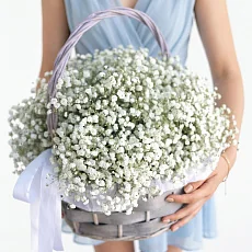 Корзина из белой гипсофилы
