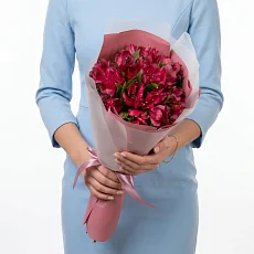 5 Малиновых Альстромерий