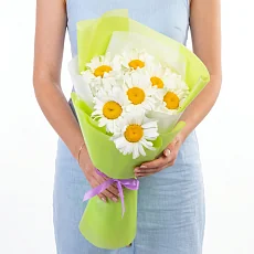 7 Ромашек