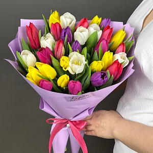 Тюльпаны голландские микс 31 шт.