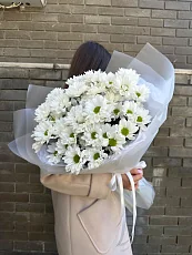 7 Кустовых Хризантем в упаковке