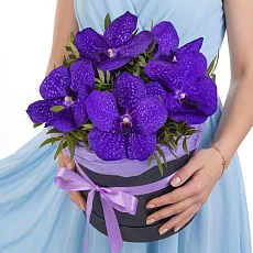 5 Синих Ванд в коробке