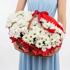 25 Хризантем в Корзине