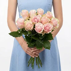 11 Светло-Розовых роз