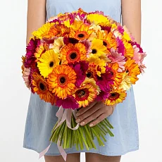 101 Гербера Микс