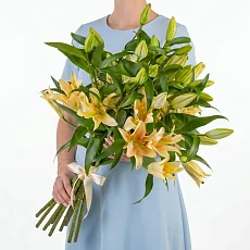 11 Кремовых Лилий