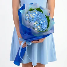 Букет из Синей гортензии в упаковке
