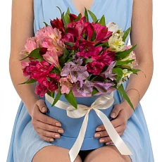 15 Альстромерий Микс в коробке