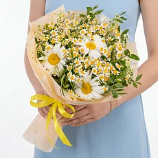 11 Ромашек Микс в упаковке