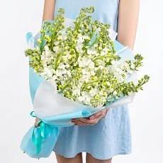 25 Белых Маттиол в упаковке