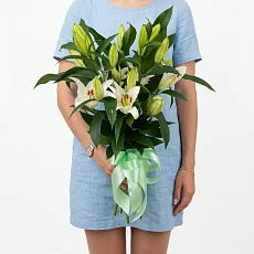 Букет из 7 Белых Лилий