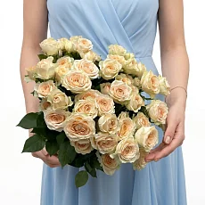 11 Кремовых кустовых роз