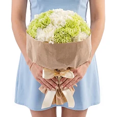 15 Снежных и Зеленых Гвоздик